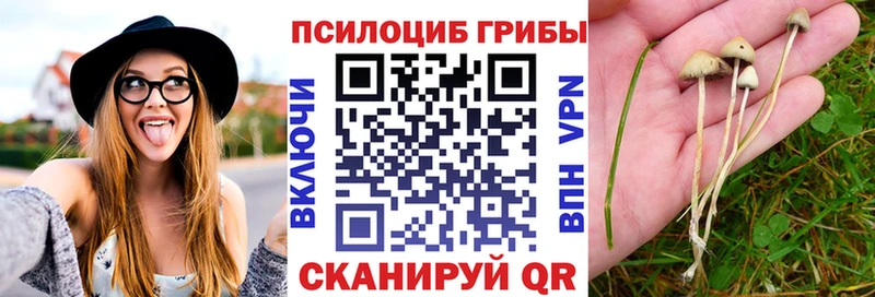 Галлюциногенные грибы Psilocybe  Подольск 